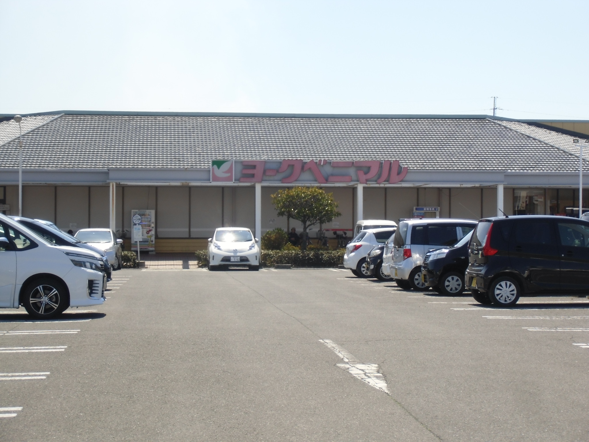 スーパー　ヨークベニマル大街道店（スーパー）まで830m