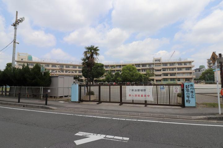 小学校　新浜小学校（小学校）まで217m
