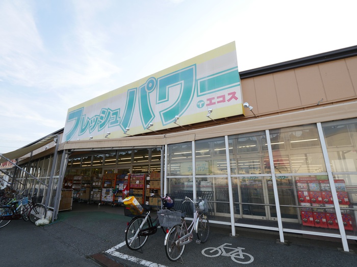 スーパー　エコス木野目店（スーパー）まで1100m