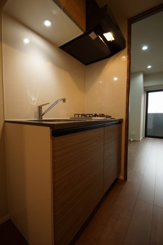 キッチン　料理が好きな方におすすめの「２口ガスシステムキッチン」