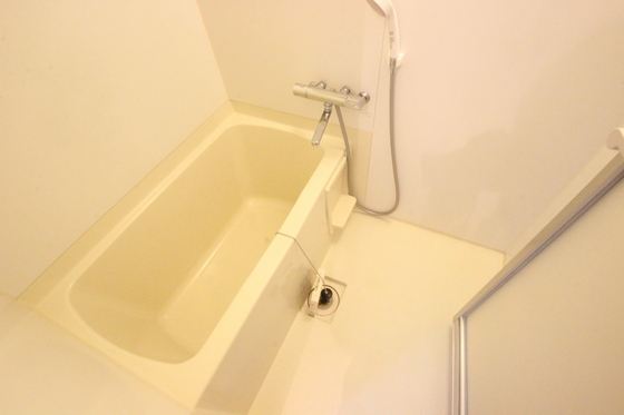 バス・シャワールーム　※別部屋の写真です