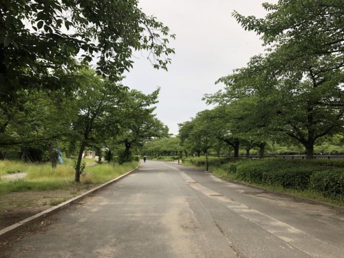 公園　南天満庭球場（公園）まで622m