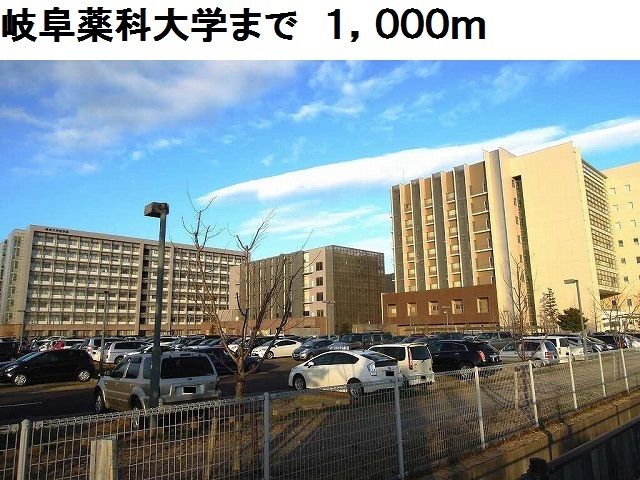 大学・短大　岐阜薬科大学（大学・短大）まで1000m