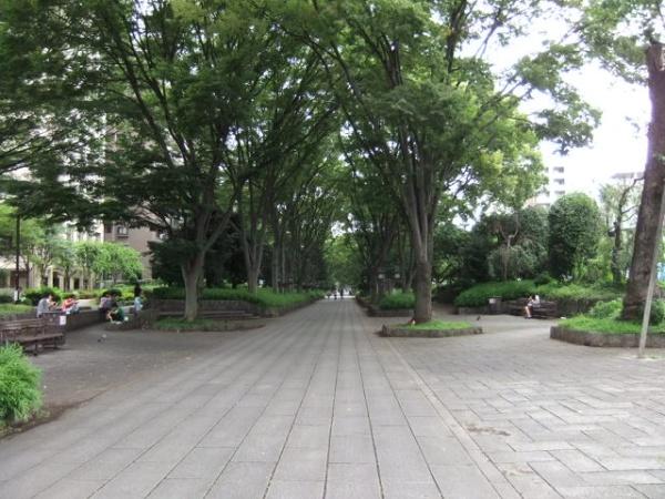 公園　氷川緑地（公園）まで373m