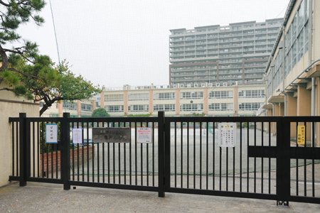 小学校　江東区立第二亀戸小学校（小学校）まで442m