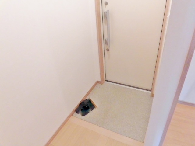 玄関　Ａタイプ　参考