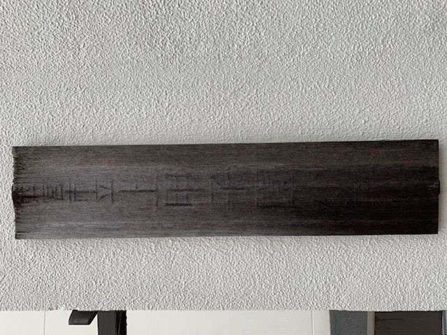 小学校　西宮市立上甲子園小学校（小学校）まで461m