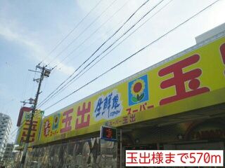 その他　玉出様（その他）まで570m