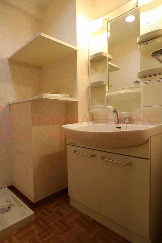 洗面設備　写真は別号室です。