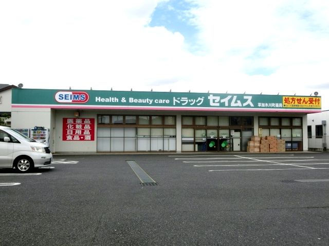 ドラックストア　ドラッグセイムス草加氷川町薬局（ドラッグストア）まで638m