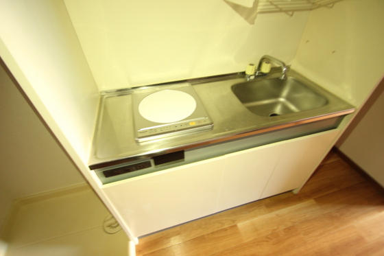 キッチン　※別号室の写真です。