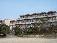 小学校　取手市立 高井小学校（小学校）まで505m