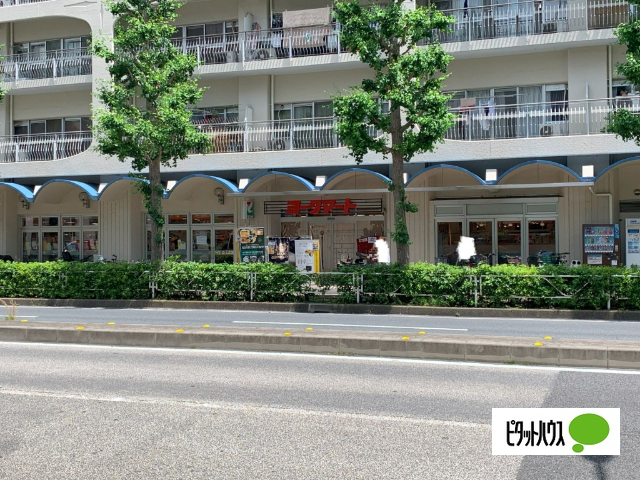 スーパー　ヨークマート磯子店（スーパー）まで332m