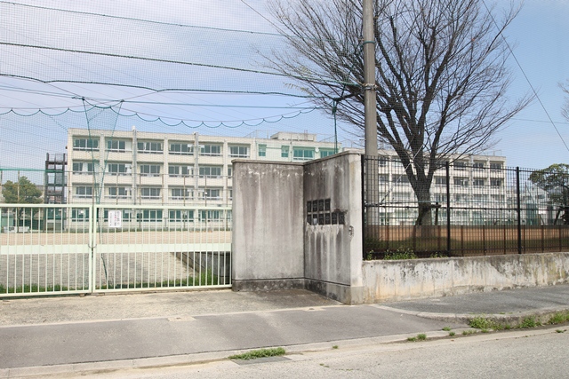 中学校　第十六中学校（中学校）まで769m