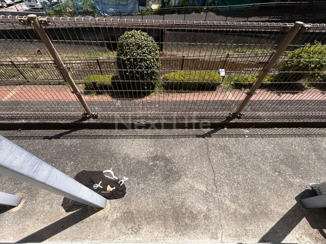 庭