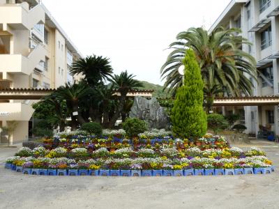 小学校　松山市立味生小学校（小学校）まで719m