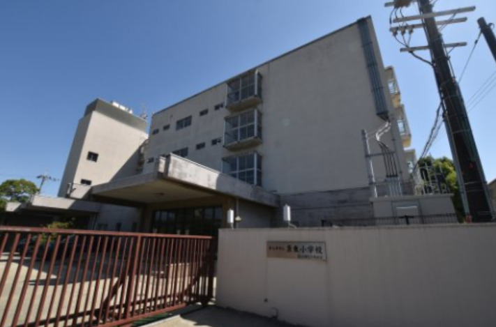 小学校　泉大津市立条東小学校（小学校）まで490m