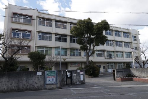 小学校　羽曳野市立恵我之荘小学校（小学校）まで800m