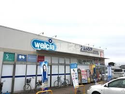 ドラックストア　ウエルシア古河三和東店（ドラッグストア）まで814m