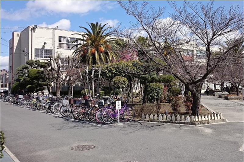 中学校　八尾市立八尾中学校（中学校）まで649m