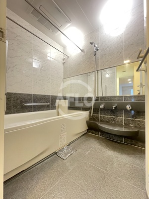 バス・シャワールーム　ローレルタワー難波　浴室