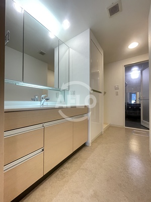 洗面設備　ローレルタワー難波　洗面所