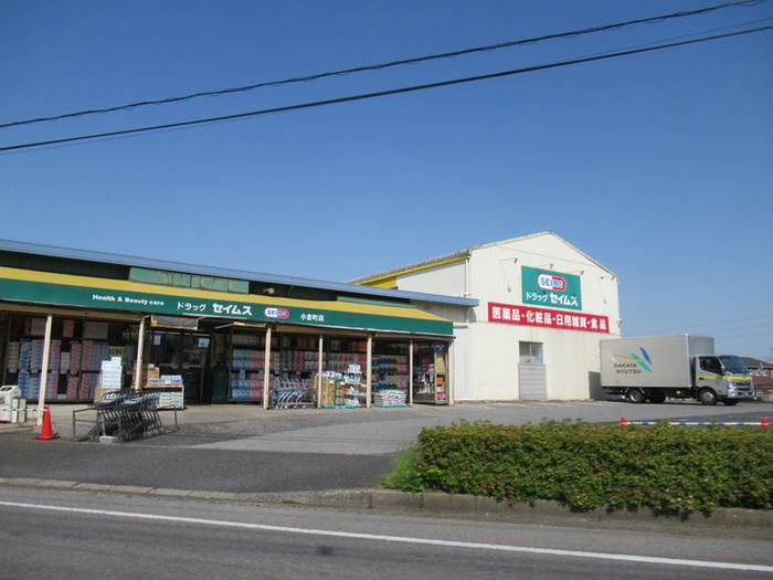 ドラックストア　セイムス（ドラッグストア）まで1100m