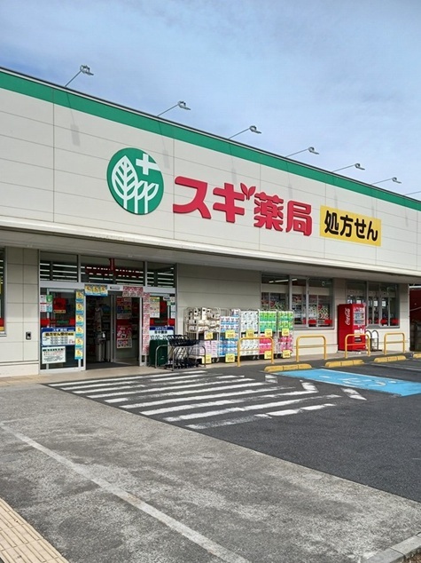 ドラックストア　スギ薬局板橋幸町店（ドラッグストア）まで209m