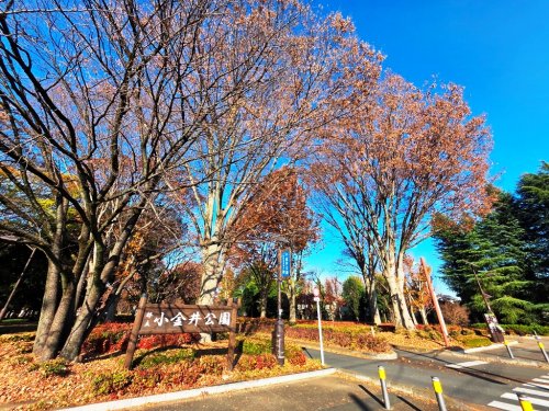公園　都立 小金井公園（公園）まで1361m