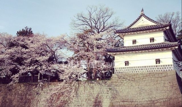 公園　新発田城址公園（公園）まで1794m