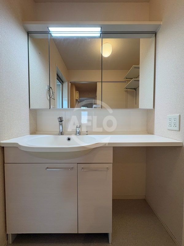 洗面設備　メゾン ド フルールII　独立洗面台