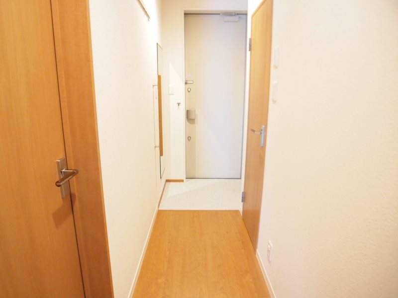 玄関　※別号室写真の為、現況優先