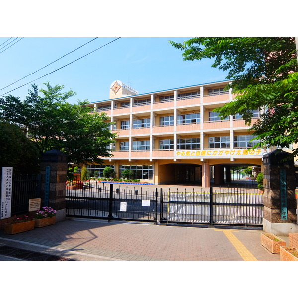 小学校　さいたま市立大谷場東小学校（小学校）まで564m