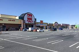 スーパー　ベルク 幸手北店（スーパー）まで973m