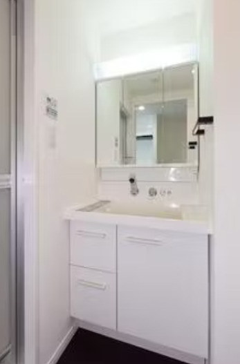 洗面設備　※別部屋の参考写真です。
