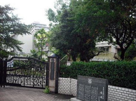 小学校　北野小学校（小学校）まで911m