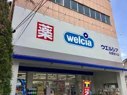 ドラックストア　ウエルシア板橋徳丸店（ドラッグストア）まで285m