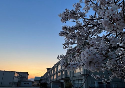 小学校　大分市立滝尾小学校（小学校）まで1441m