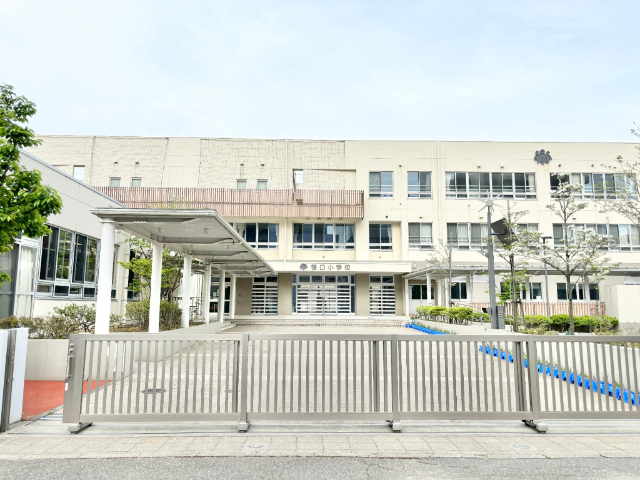 小学校　新潟市立笹口小学校（小学校）まで650m