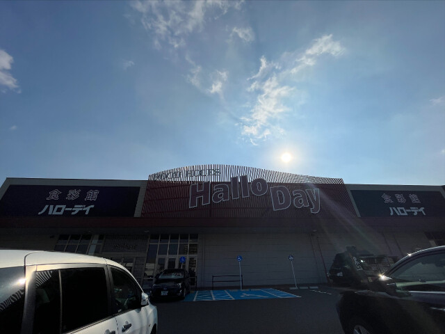 スーパー　ハローデイ井堀店（スーパー）まで338m