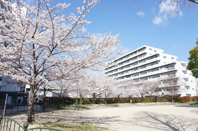 その他共有部分　春になると綺麗な桜が見られる団地です。
