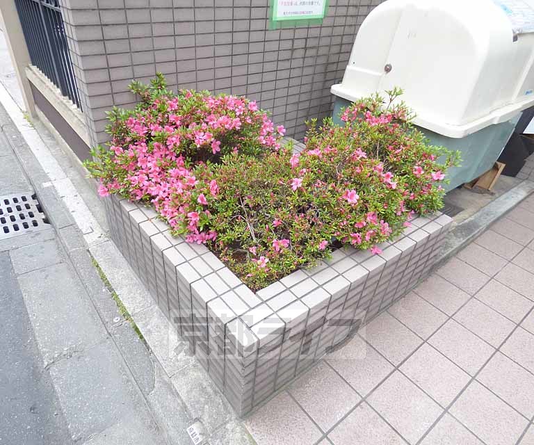 庭