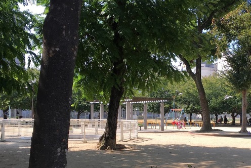 公園　新今里公園（公園）まで179m