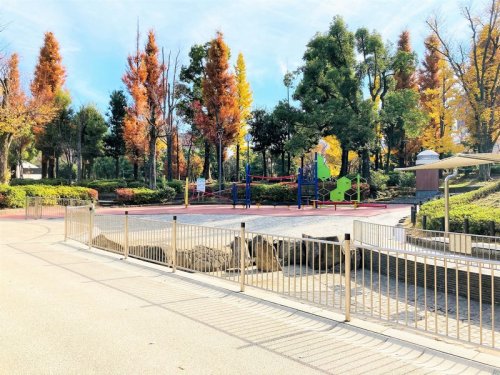 公園　文京区立教育の森公園（公園）まで732m