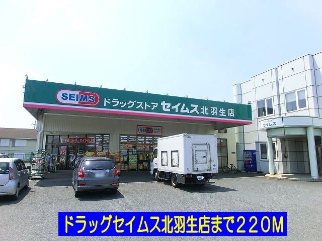 ドラックストア　ドラッグセイムス北羽生店（ドラッグストア）まで220m
