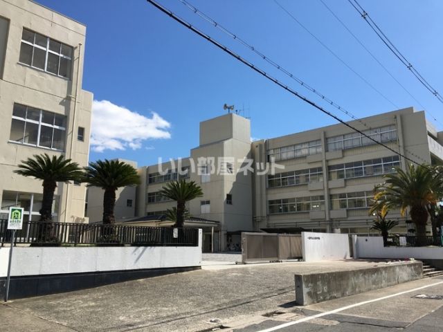 中学校　八尾市立上之島中学校（中学校）まで544m