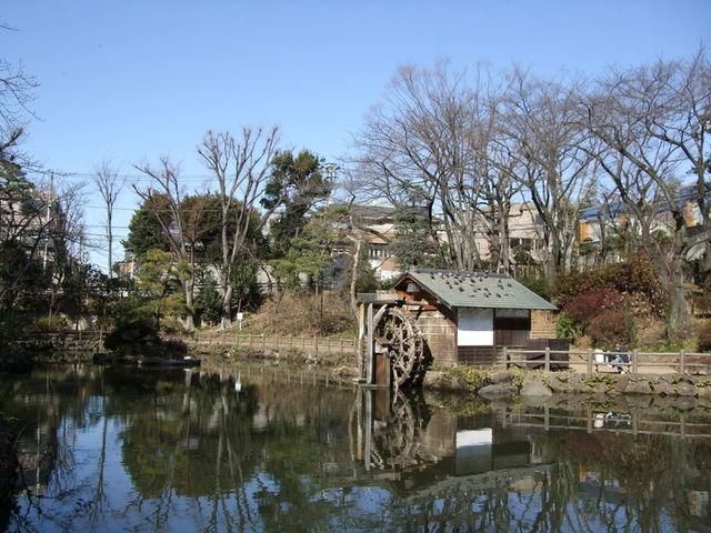 その他　★鍋島松濤公園まで歩いてスグ★