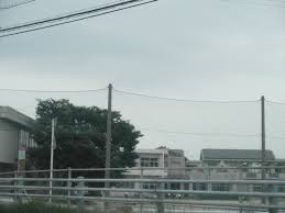 小学校　阿南市立中野島小学校（小学校）まで1824m
