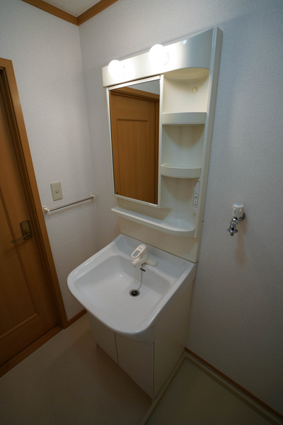 洗面設備　同じ建物の別の部屋