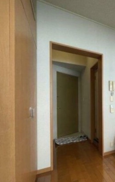 玄関　同仕様タイプ